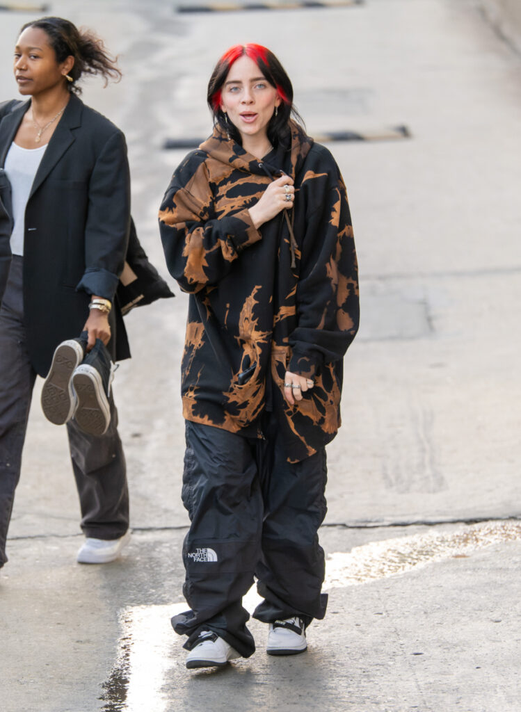 Billie Eilish The North Face outdoor nadrágban